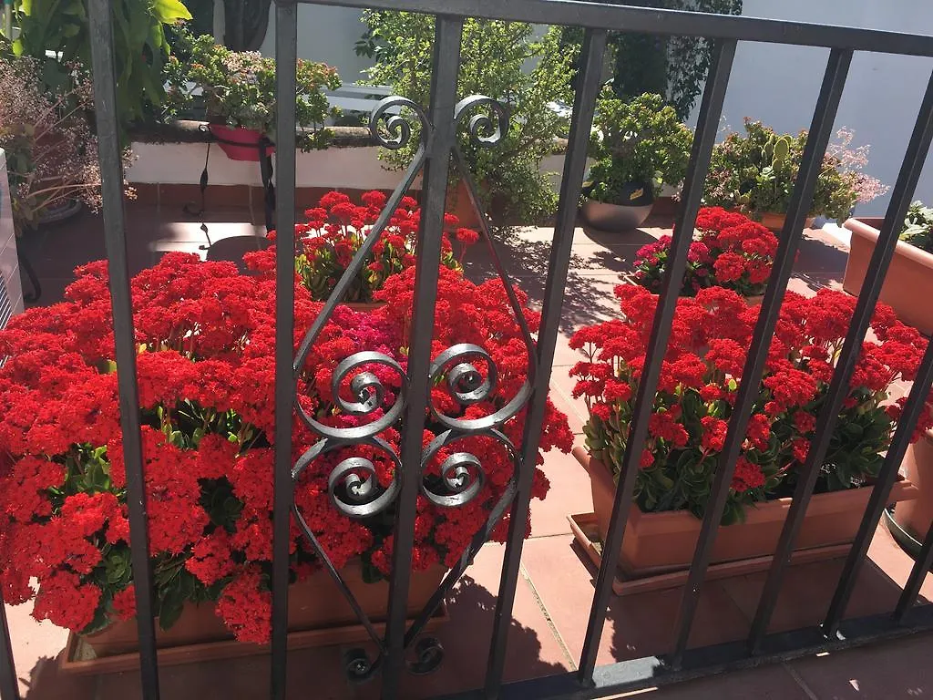 Pension Aduar Marbella Gasthuis