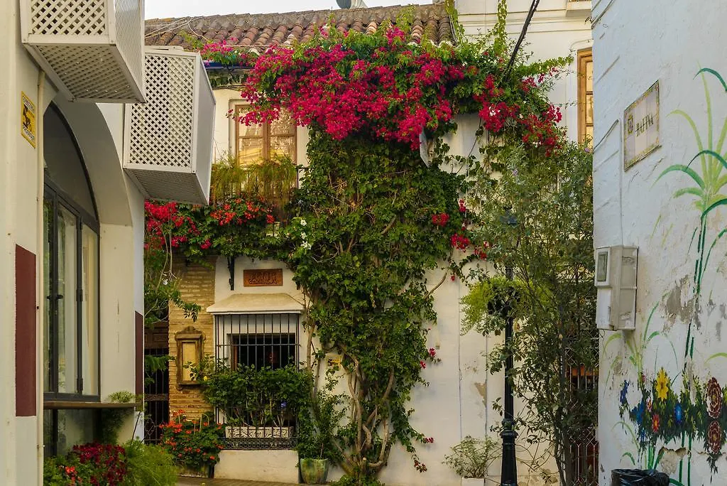 Pension Aduar Marbella